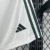 Celtic 25/26 Home Short - Fan Version