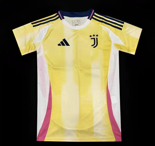 Juventus 24/25 Away Jersey – Fan Version