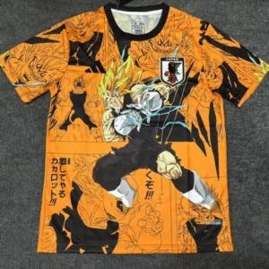 Japan Dragon Ball - Vegeta Kit