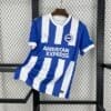 Brighton & Hove Albion home jersey