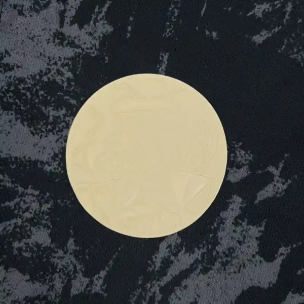 Ajax 25/26 Stone Island Kit Fan Version