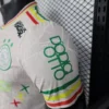 Ajax Bob Marley Edition Pink Kit Player Version