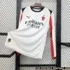 AC Milan 2025/26 Away Kit