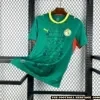 Senegal World Cup 2026 Away Kit