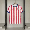 Paraguay world cup Kit