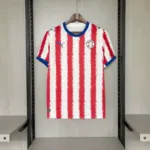 Paraguay world cup Kit