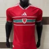 World Cup Wales Home Kit