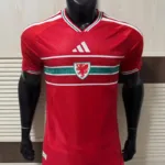 World Cup Wales Home Kit