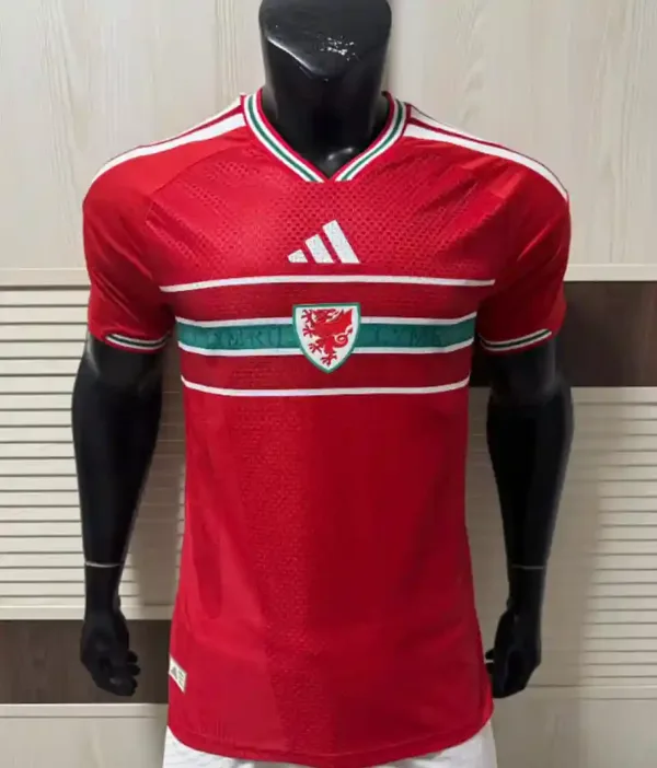 World Cup Wales Home Kit