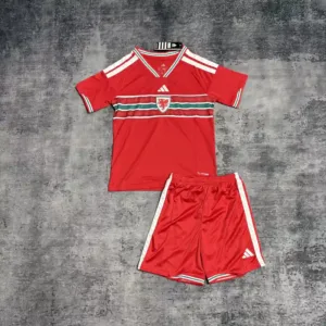 World Cup Wales Home Kids Set