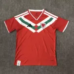 Wales Special Red Kit