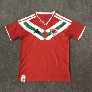 Wales Special Red Kit