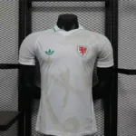 World Cup Wales Away Kit