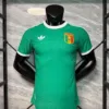 Senegal Retro Green Kit