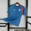 World Cup Portugal Blue Special Kit