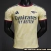 Arsenal Away Kit